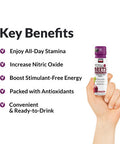Force Factor Total Beets Superfood Ss for Healthy All-Day Stamina, Energy Drink Alternative with Beet Root Powder, Vitamins, & Antioxidants, Nitric Oxide Energy S, Berry, 3 Fl Oz (6-Pack)