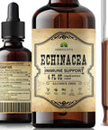 Herbalicious Echinacea Supplement Root Extract Liquid Drops - Antioxidant Rich Formula for Immune Function Support - Vegan Herbal Tincture - Non-GMO Alcohol- & Gluten- 4oz