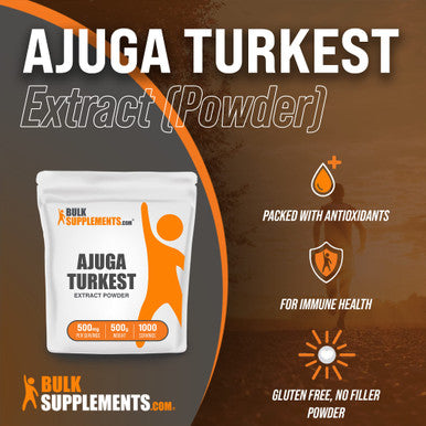 BulkSupplements Ajuga Turkest Extract Powder - Herbal Supplement Powder - Pure, - 500mg , 1000 Servings (500 Grams - 1.1 lbs)