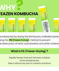Teazen Kombucha Pineapple Flavor Variety Pack Pineapple Drink Mix 10 Sticks & 30 Sticks (40 Sticks)