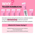 Teazen 4 Flavors 40 Sticks Variety Pack Kombucha Lemon Peach Berry (30 Sticks) and Hot Kombucha Ginger Lemon Flavor (10 Sticks)
