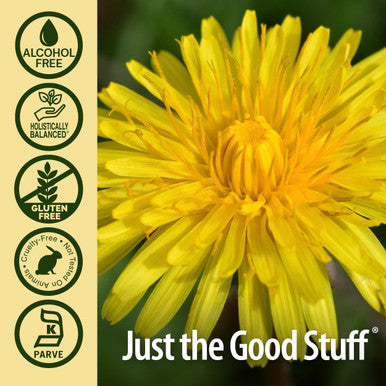 Nature'S Answer Alcohol Dandelion Root 2000mg 1oz Extract | Promotes Overall Well-Being | Immune Support | Cleanses and Detoxes | Gluten- Non-GMO Vegan | Single Count