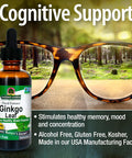 Nature'S Answer Alcohol Ginkgo Biloba Leaf Extract 2 Ounce 2 Count | Supports a Healthy Brain Promotes Cognitive Function Increase Mental Clarity Natural Focus Aid