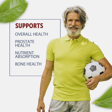 Healthfare Plant Sterols 2000Mg | 240 Count | Extra Strength Capsules With Beta Sitosterol | Gluten-Free & Non-Gmo