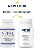Vital Nutrients Citicoline | 500mg Vegan Citicoline Supplement | Nootropic Brain Support Supplement for Mental Focus and Attention | Gluten Dairy Soy | Non-GMO | 60 Capsules