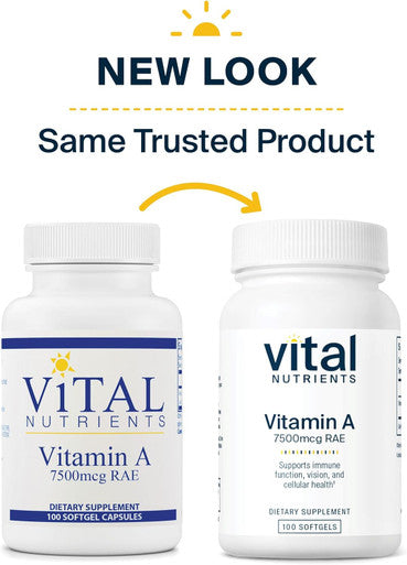 Vital Nutrients Citicoline | 500mg Vegan Citicoline Supplement | Nootropic Brain Support Supplement for Mental Focus and Attention | Gluten Dairy Soy | Non-GMO | 60 Capsules