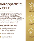 Solgar B-Complex With Vitamin C Stress Formula 250 Tablets - Energy Metabolism Nervous System & Immune Support - Non-Gmo Vegan Gluten Free Dairy Free Kosher Halal - 125 Servings