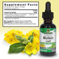 Nature'S Answer Mullein Drops for Lungs Alcohol- Mullein Tea 1 Ounce Mullein Leaf Extract for Lungs Supports Respiratory Function Promotes Healthy Lungs Non-GMO Made in USA
