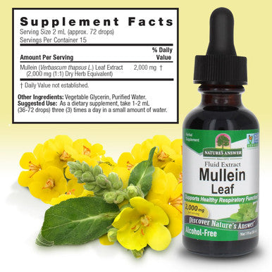Nature'S Answer Mullein Drops for Lungs Alcohol- Mullein Tea 1 Ounce Mullein Leaf Extract for Lungs Supports Respiratory Function Promotes Healthy Lungs Non-GMO Made in USA