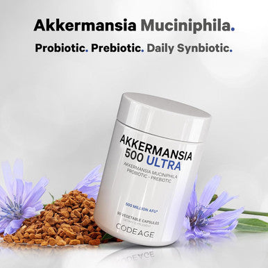Codeage Akkermansia Muciniphila Probiotic Ultra - High-Potency 500M AFUs Akkermansia Probiotic Supplement - Enhanced Daily Probiotic & Prebiotic Chicory Inulin - 3-Month Supply - 90 Capsules
