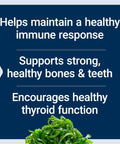 Life Extension Vitamins D and K with SeaIodine Vitamin D3 Vitamin K1 and K2 Iodine Supports Immune Bone arterial and Thyroid Health NonGMO GlutenFree 60 Capsules