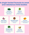 Joyspring Herbal Detox For Kids 30 Servings 1 Fl Oz