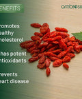 Ambrosial Ambrosial Berberine 60 Veg Capsules (Pack of 1-60 Capsules)