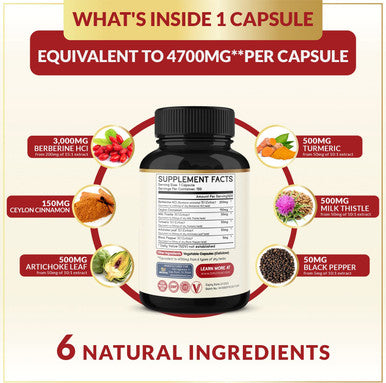 Berberine Supplement 4700mg 5 Months Supply High Potency with Ceylon Cinnamon Turmeric Supports Immune System Cardiovascular Gastrointestinal Function Berberine HCl Supplement Pills