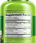 NATURELO Immune Support Ãƒâ€šÃ¢â‚¬â€œ Vitamin C, Elderberry, Zinc, Echinacea Ãƒâ€šÃ¢â‚¬â€œ Natural Immunity Boost w/ Antioxidant, Herbal & Mineral Defense - 60 Vegan Capsules