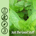 Nature'S Answer Peppermint Leaf with Organic Alcohol 1-Fluid Ounce | Digestive Support | Minimize Stomach Discomfort | Dietary Bowel Support