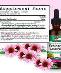 Nature'S Answer Echinacea with Organic Alcohol 2-Fluid Ounces