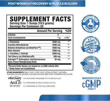 POWERBUILD ClinicallyDosed Post Workout Recovery Muscle Building Supplement Boost Muscle Growth Recovery Strength Creatine Glutamine 5 More Powerful Ingredients Mixed Berry Blast 13.76 Oz