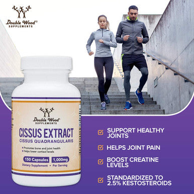 Quercetin with Bromelain - 120 Count (1,200mg Servings) Immune Health Capsules - Supports Healthy Immune Functions in Men and Women (Vegan Safe, Manufactured in USA) by Double Wood Supplements