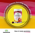 Swanson Elderberry Gummies with Zinc and Vitamin C - 60 Gummies - Immune Support Supplement for a Healthy Immune System