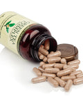 Gnc Herbal Plus Green Tea Complex 500Mg, 100 Capsules, Metabolism Support