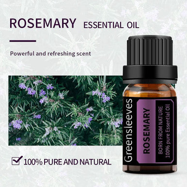 GREENSLEEVES Rosemary Essential Oil, 100% Pure Aromatherapy Oils for Diffuser, Humidifier, Massage - 10ml (Rosemary)