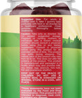 Kids Elderberry Gummies With Zinc And Vitamin C - Delicious Sambucus Black Elderberry Gummies For Kids Immune Support - Daily Kids Immunity Support Gummies Vegan Non-Gmo Gluten And Gelatin Free