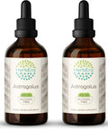 Astragalus B120 (2pcs) Alcohol-Free Herbal Extract Tincture, Concentrated Liquid Drops Natural Astragalus (Astragalus membranaceus) Dried Root (2x4 fl oz)