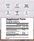 Acetylcholine Brain Food With Alpha Gpc Choline - Helps Clears Brain Fog, Improves Mental Drive & Mood - Gpc Supplement & Focus Supplement For Faster Thinking & Clear Brain (60Ct) By Natural Stacks