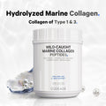 Codeage Marine Collagen Powder - Wild-Caught Hydrolyzed Fish Collagen Peptides - Type 1 & 3 Collagen Protein Supplement - Amino Acids for Skin Hair Nails - Paleo Friendly Non-GMO 15.87 Ounces