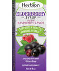 Herbion Naturals Elderberry Syrup 4 fl oz Healthy Immune System for Adults and Children 1 Year Honey Sweetened with Natural Raspberry Flavor No Artificial Ingredients USA. Pack of 2