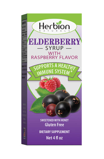 Herbion Naturals Elderberry Syrup 4 fl oz Healthy Immune System for Adults and Children 1 Year Honey Sweetened with Natural Raspberry Flavor No Artificial Ingredients USA. Pack of 2