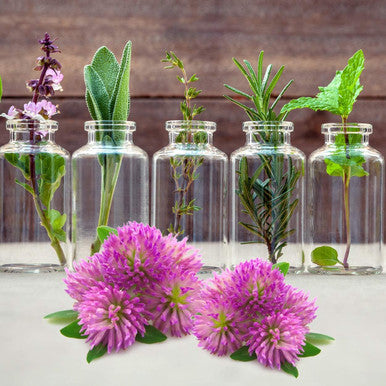 Nature'S Answer Red Clover Trifolium Pratense Full Spectrum Herb Natural Vegetarian Vegan High Strength Dietary Supplements Ideal for Menopause (90 Capsules)