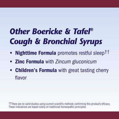Nature'S Way Boericke & Tafel Daytime Cough & Bronchial Syrup, Cough Suppressant & Expectorant , Non-Drowsy, 4 Fl. Oz