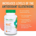 Organika Nac (N-Acetyl-L-Cysteine) 500Mg- Supports Antioxidant Glutathione Levels, Immune System Support, Liver And Detox Support- 90 Caps