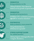 Garden of Life Dr Formulated Calm Daily 3-In-1 Complete Probiotics Prebiotics & Postbiotics With Ashwagandha - Pre + Pro + Postbiotic Supplement For Immune Digestive & Mood Support - 30 Day Supply