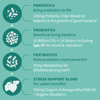 Garden of Life Dr Formulated Calm Daily 3-In-1 Complete Probiotics Prebiotics & Postbiotics With Ashwagandha - Pre + Pro + Postbiotic Supplement For Immune Digestive & Mood Support - 30 Day Supply