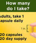 Nature Made Turmeric Curcumin 500 Mg Herbal Supplement For Antioxidant Support 120 Capsules 120 Day Supply