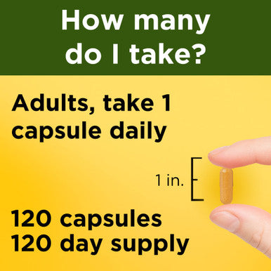 Nature Made Turmeric Curcumin 500 Mg Herbal Supplement For Antioxidant Support 120 Capsules 120 Day Supply