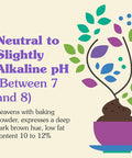 Nunaturals Organic Fair Trade Cocoa Powder Premium Dutch-Process For Drinking and Baking 1 lb