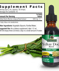 Nature'S Answer Alcohol- Yellow Dock Root 2000mg 1oz | Promotes Liver Function | Natural Body Detox | Bloating Relief | Gluten- Non-GMO Vegan | Single Count