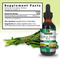 Nature'S Answer Alcohol- Yellow Dock Root 2000mg 1oz | Promotes Liver Function | Natural Body Detox | Bloating Relief | Gluten- Non-GMO Vegan | Single Count