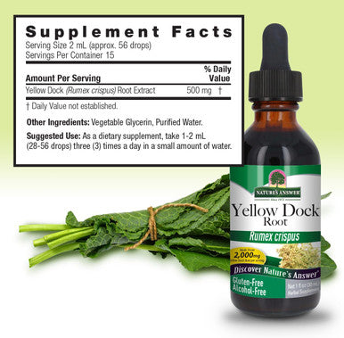 Nature'S Answer Alcohol- Yellow Dock Root 2000mg 1oz | Promotes Liver Function | Natural Body Detox | Bloating Relief | Gluten- Non-GMO Vegan | Single Count