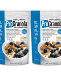 Julian Bakery ProGranola Cereal | Vanilla Cinnamon | 12g Protein | Paleo | 2 Net Carbs | Gluten-Free | Grain-Free | 2 Pack