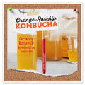 Fermentaholics Big Momma Kombucha Scoby With Twelve Ounces Of Starter Tea - Live Kombucha Starter Culture | Extra Large 6" Pellicle | Makes A One Gallon Batch | 1.5 Cups Of Strong Mature Starter Tea