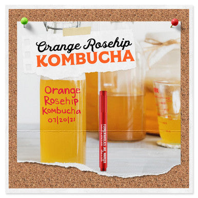 Fermentaholics Big Momma Kombucha Scoby With Twelve Ounces Of Starter Tea - Live Kombucha Starter Culture | Extra Large 6" Pellicle | Makes A One Gallon Batch | 1.5 Cups Of Strong Mature Starter Tea
