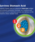 Nature's Way Probiotic Pearls Adult 50+, 1 Billion Live Cultures, 30 Softgels
