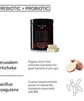 The Nue Co. Natural Prebiotic Probiotic IBS Relief Supports Gut Health Immunity and Skin Spore Based Bacteria Vegan Organic TimeDelayed 60 Capsules