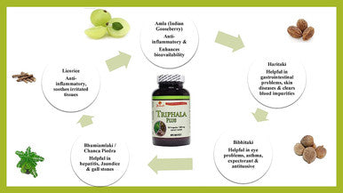 Sewanti Triphala Plus 90 Capsule Npn 80019321 95 gram
