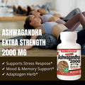 Ashwagandha Root Extract 500 mg (2000 mg Raw Equivalent), 4:1 Concentrate Ratio, 60 Vegan Capsules, Stress Relief & Mood Support Supplements, Non-GMO, Made in Canada
